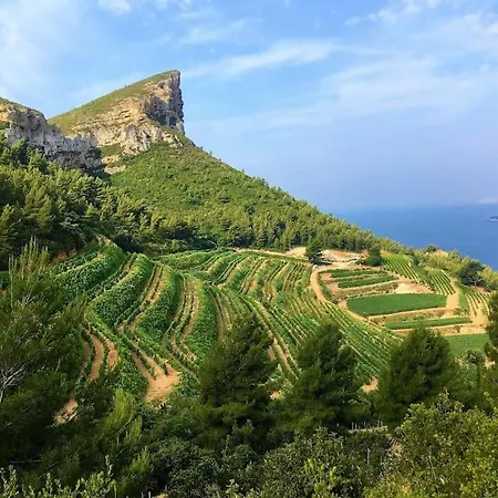 Click! Omg Views! 2-4-6-8pers The Secret Provence Gem